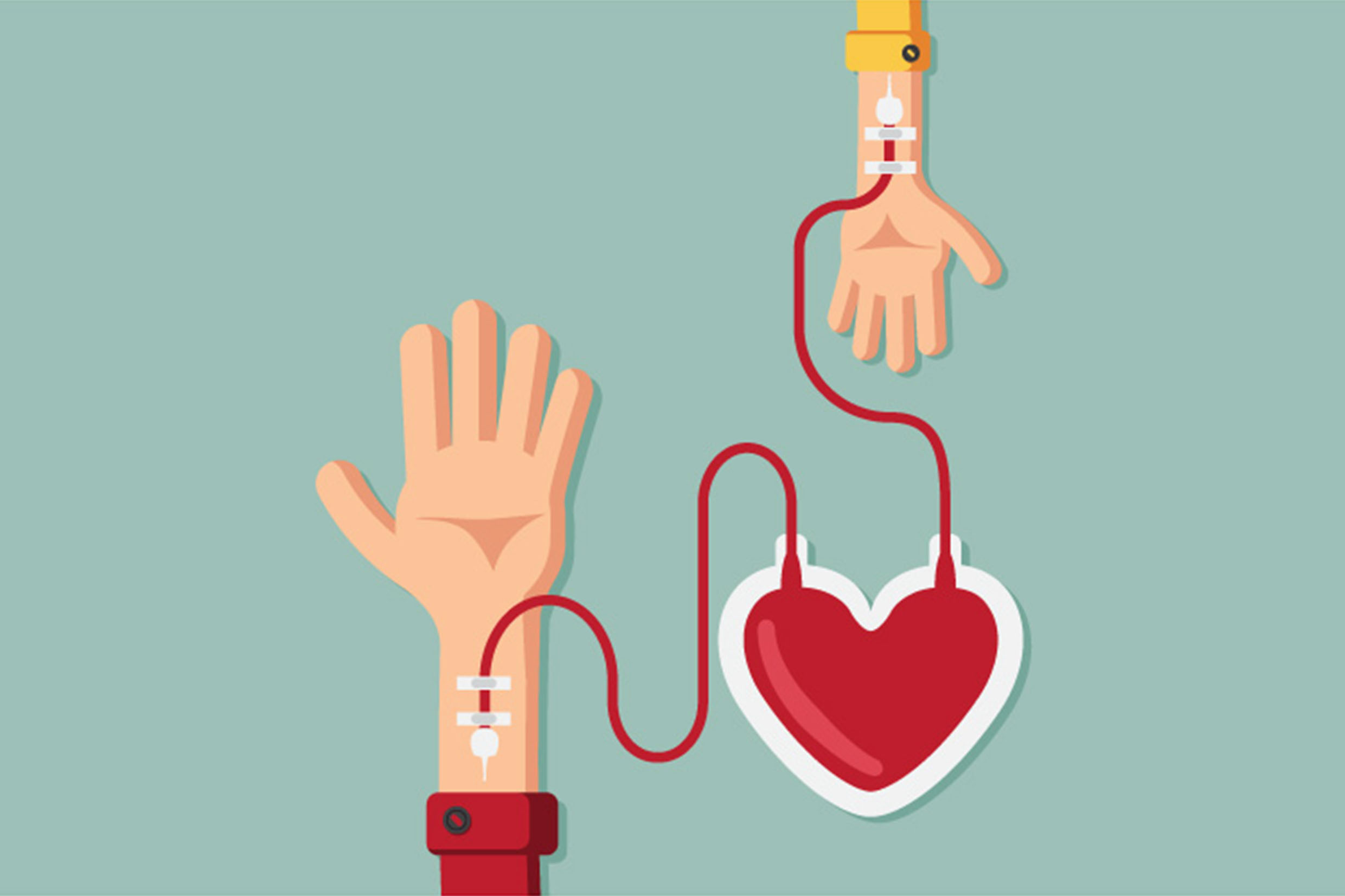 Como ser um doador de sangue?